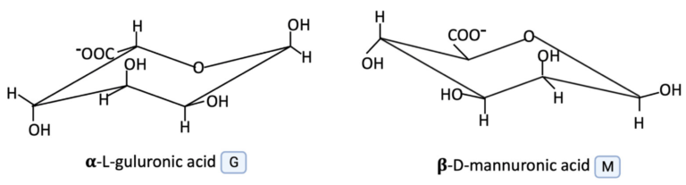 Chemical structure of alginate | SeaKol Composition & Molecular Properties